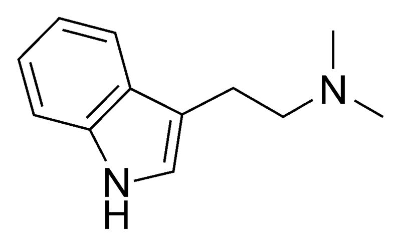 קובץ:DMT.png