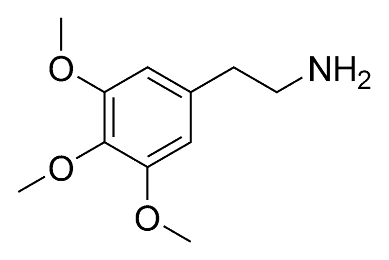 קובץ:Mescaline chemical structure.png